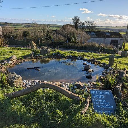 The Pasty - Lydcott Glamping Daire Looe Dış mekan fotoğraf